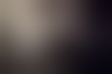 XXV/0